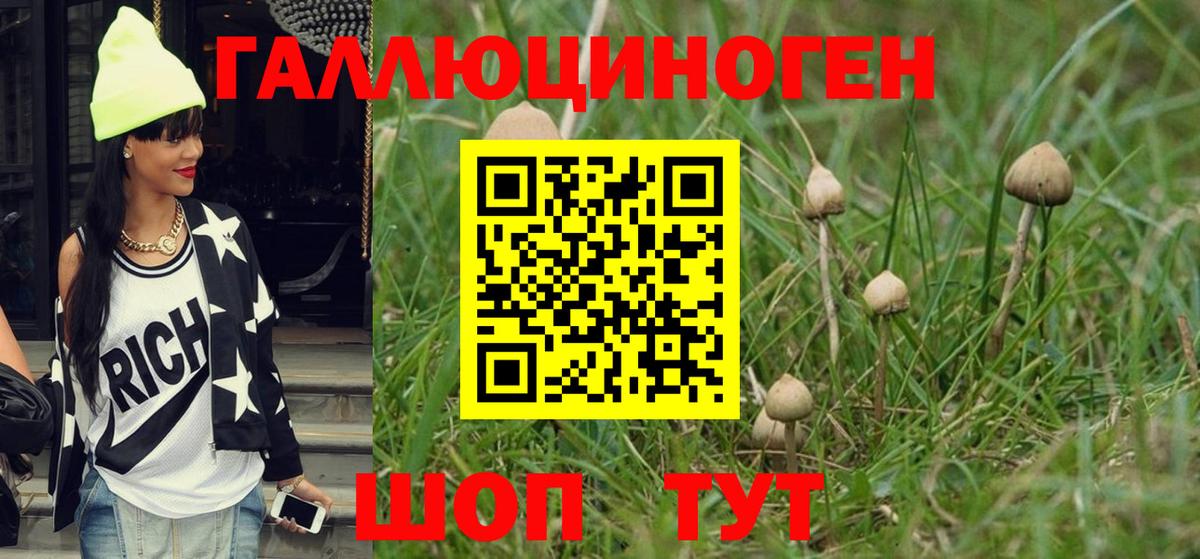 Псилоцибиновые грибы мицелий Донской